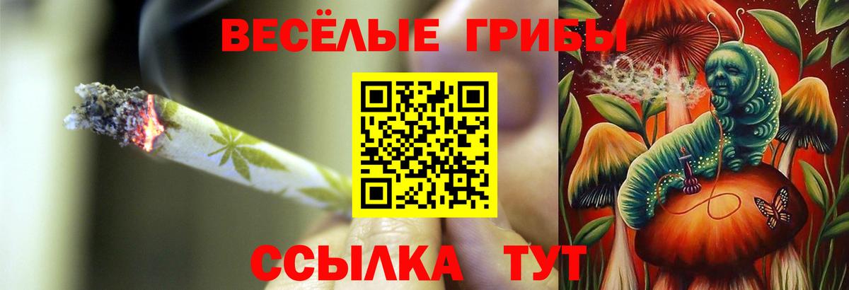 Псилоцибиновые грибы GOLDEN TEACHER  Вход с VPN  Калуга 
